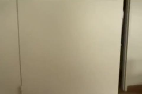 sheboy gal Queen Shaky suck And poke