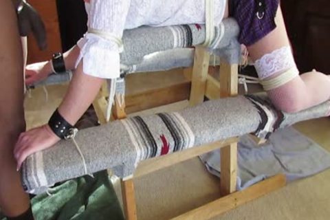 Katt Stuck In The Middle