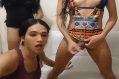 wicked t-girls butthole hammer And dirty Blowjobs