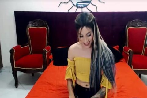 tranny hottie With Tattoo Masturbate On webcam