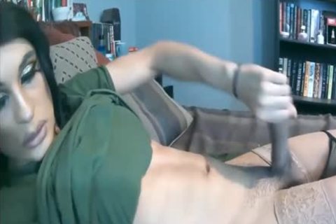 Tramp Tea Of The Day