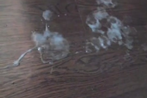 massive cumshot At 08:16 By delicious attractive Ladyboy Thippy69 On web camera, Part 9