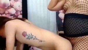Three asian Transgirls Have Sex On cam
