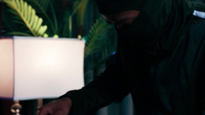 Trans Angels: Bella Unleashes Her Wild Side