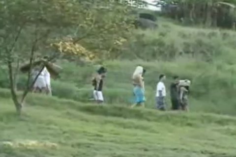 Brazilian Sthis dudemales