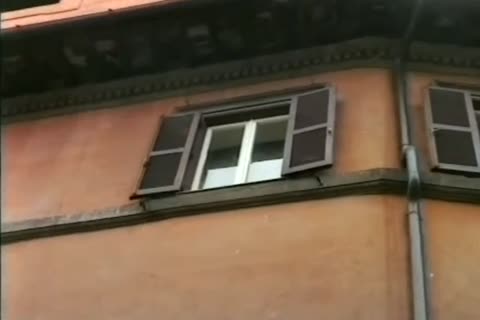 swarthy this babemale With filthy penis Rubbing Scene